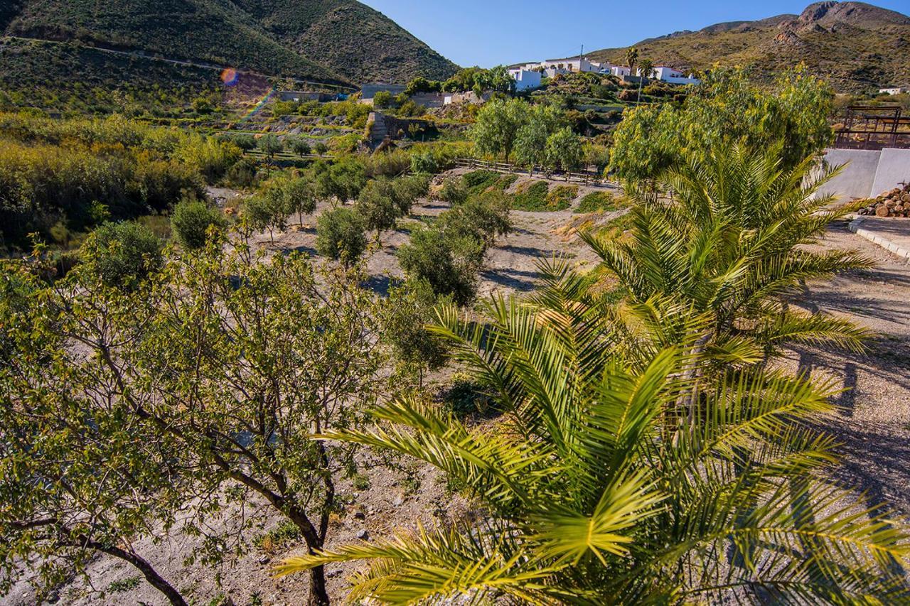 לינה וארוחת בוקר Lucainena de las Torres Cortijo 4 Elementos מראה חיצוני תמונה