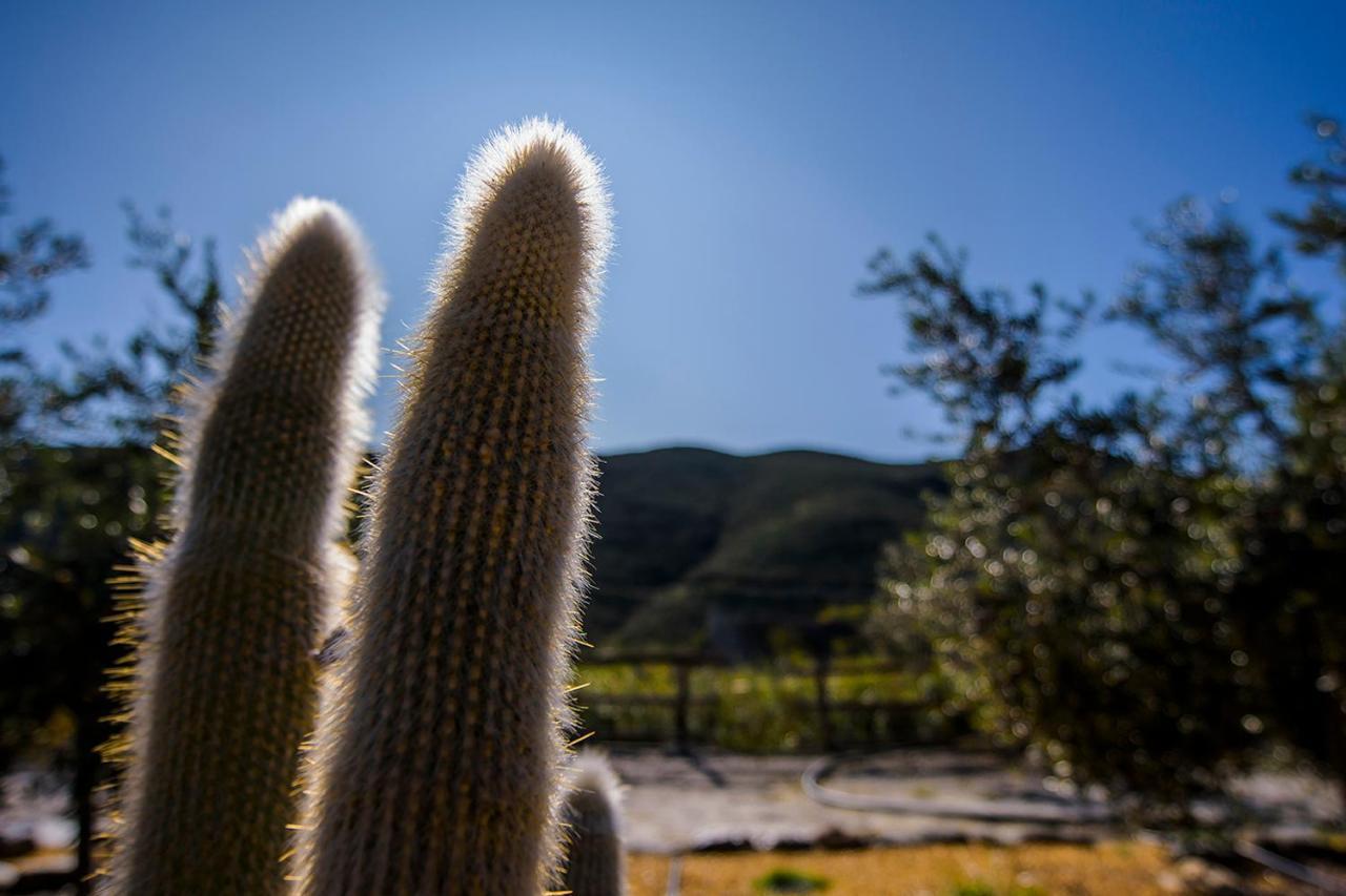 לינה וארוחת בוקר Lucainena de las Torres Cortijo 4 Elementos מראה חיצוני תמונה